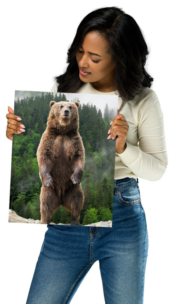 Big Standing Brown Bear On Mountain Top Loose Wall Art Print, 11" X 14"