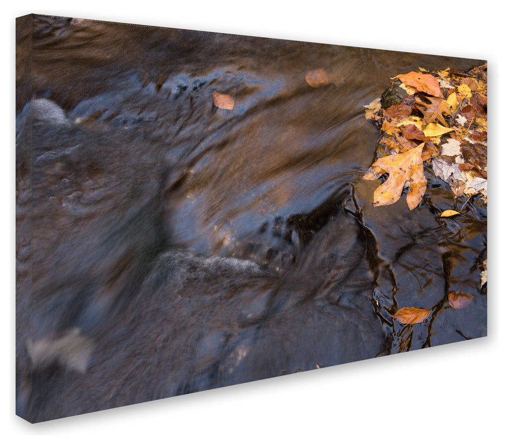 Jason Shaffer 'Peasley Hollow' Canvas Art, 47x30