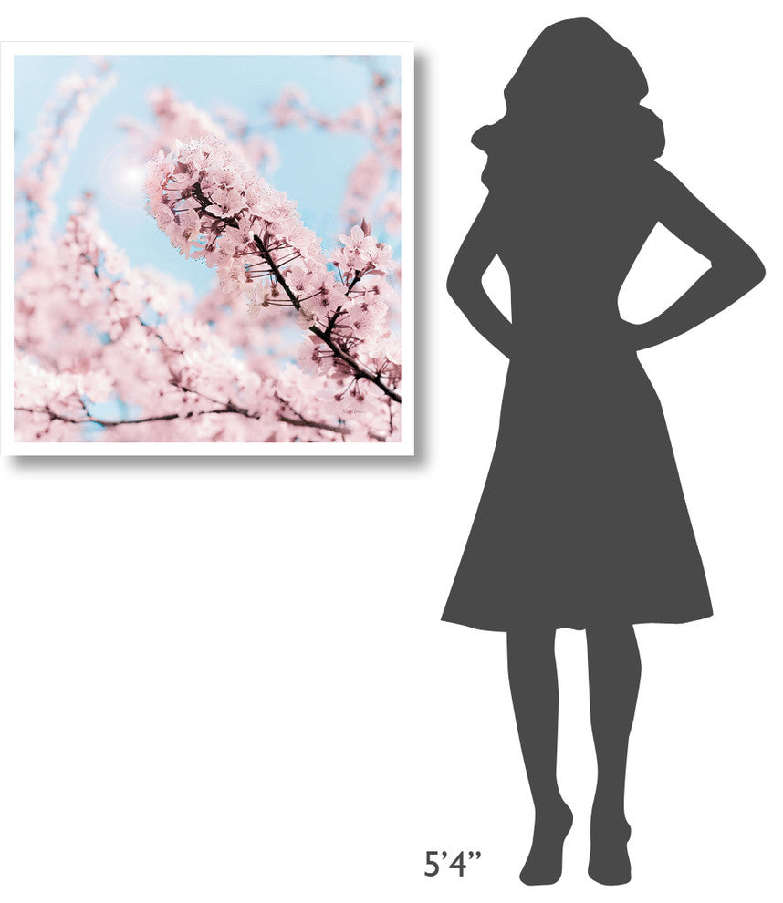 "Cherry Blossom Clouds" Digital Paper Print by Keri Bevan, 32"x32"