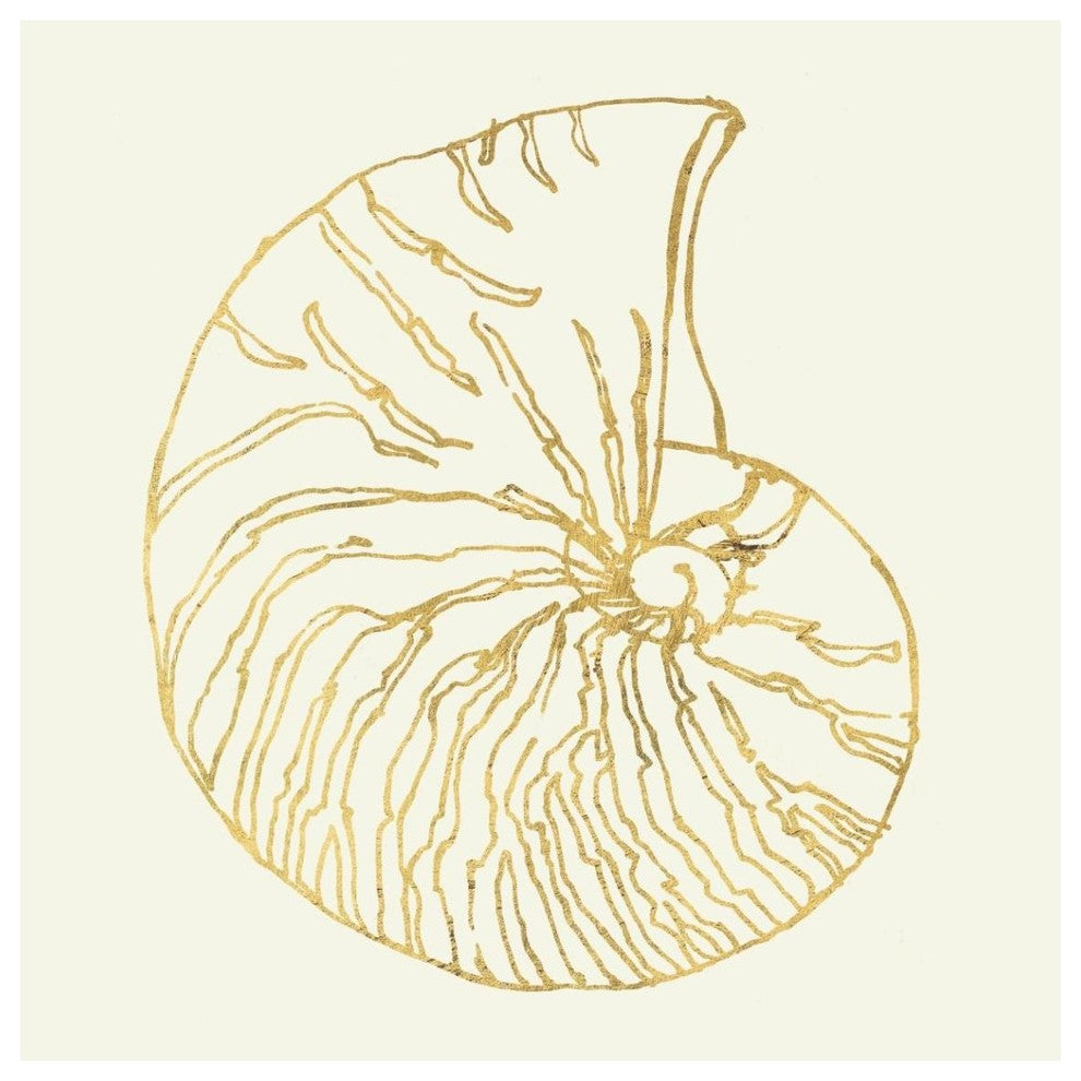 "Coastal Breeze Shell Sketches VII" Paper Print by Anne Tavoletti, 42"x42"