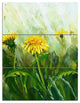 "Dandelion Flowers" Glossy Metal Wall Art, 3 Panels, 28"x36"