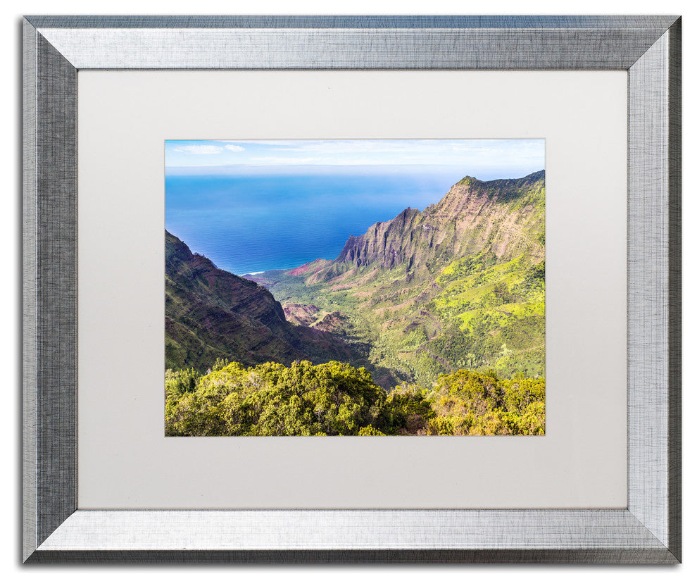 Pierre Leclerc 'Kalalau Valley' Matted Framed Art, Silver Frame, White, 20x16