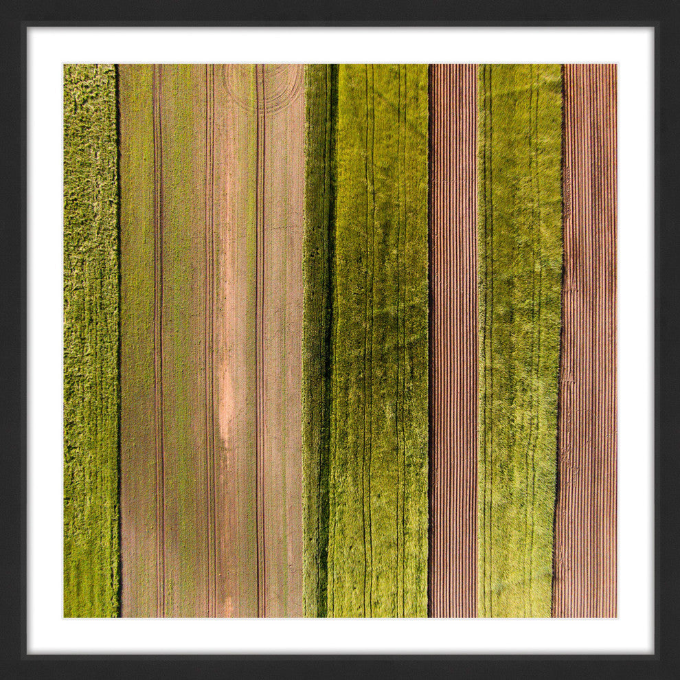 "Crop Rows" Framed Print by Karolis Janulis