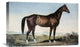 "Celebrated Horse "Lexington" Canvas Giclee by Currier and Ives, 22"x14"