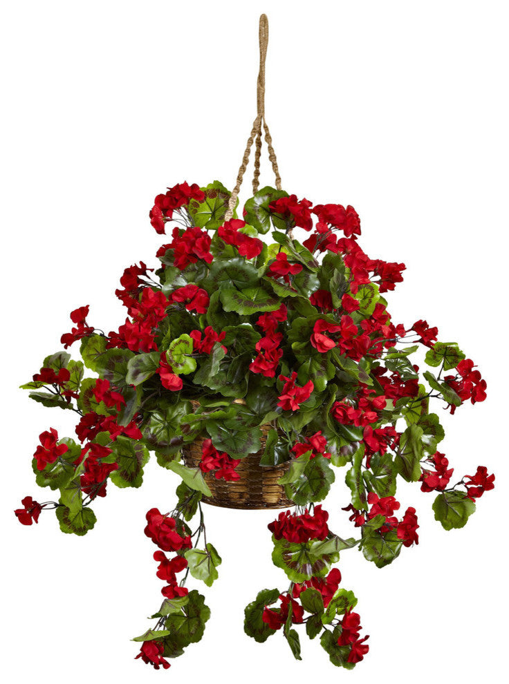 Geranium Hanging Basket UV Resistant, Indoor/Outdoor, Red