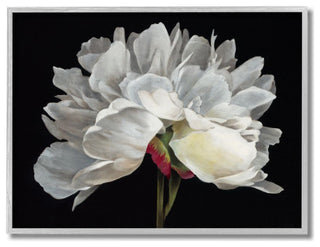 Minimal White Flower Petal Detail Floral Design,1pc, each 11 x 14