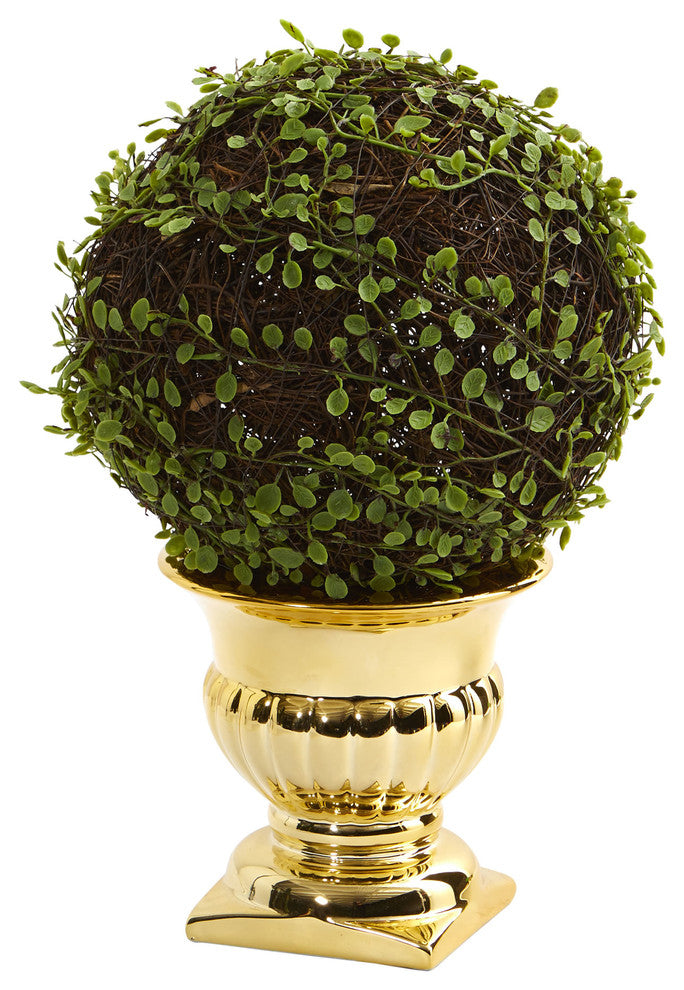 Mohlenbechia Ball Topiary, Gold Urn