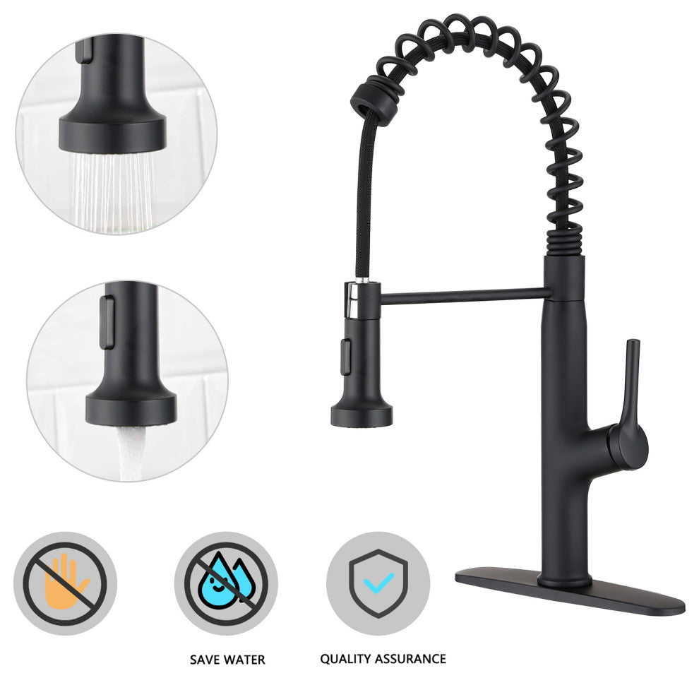 Single Handle Deck Mounted Spring Neck Kitchen Faucet with Pull out Sprayer, Mat