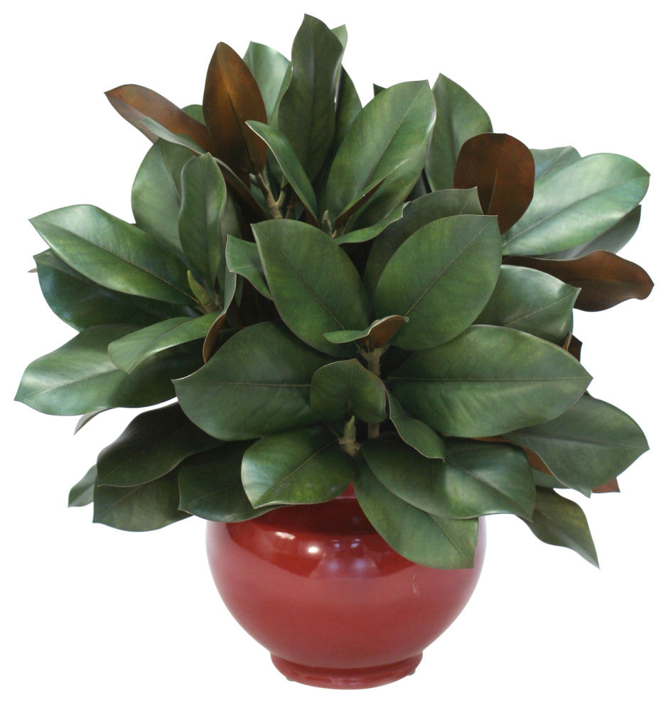 Magnolia in Red Rust Vase