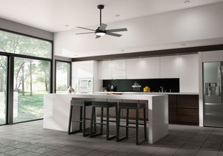 52" Donatella Matte Black Ceiling Fan, LED Light Kit and Handheld Remote