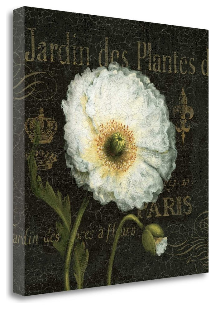 "Botanical Garden I" By Daphne Brissonnet, Giclee Print on Gallery Wrap Canvas