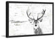 Parvez Taj "Inquisitive Deer" Framed Painting Print, 45"x30"