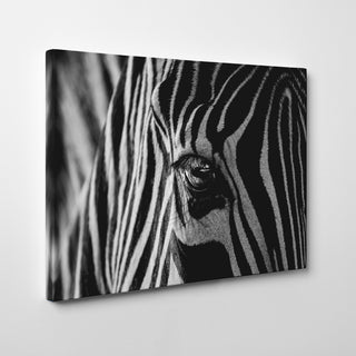Abstract Zebra' Wrapped Canvas Wall Art by Roy Darnell
