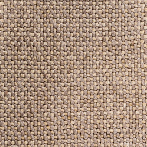 Surya Solo SLO-12 3'3"x5'3" Rug, Beige/Camel