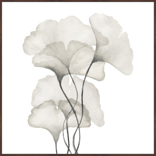 "Ginkgo Biloba Leaves" Floater Framed Painting Print, Canvas, 40"x40"