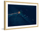 "Dock at Night" Framed Painting Print