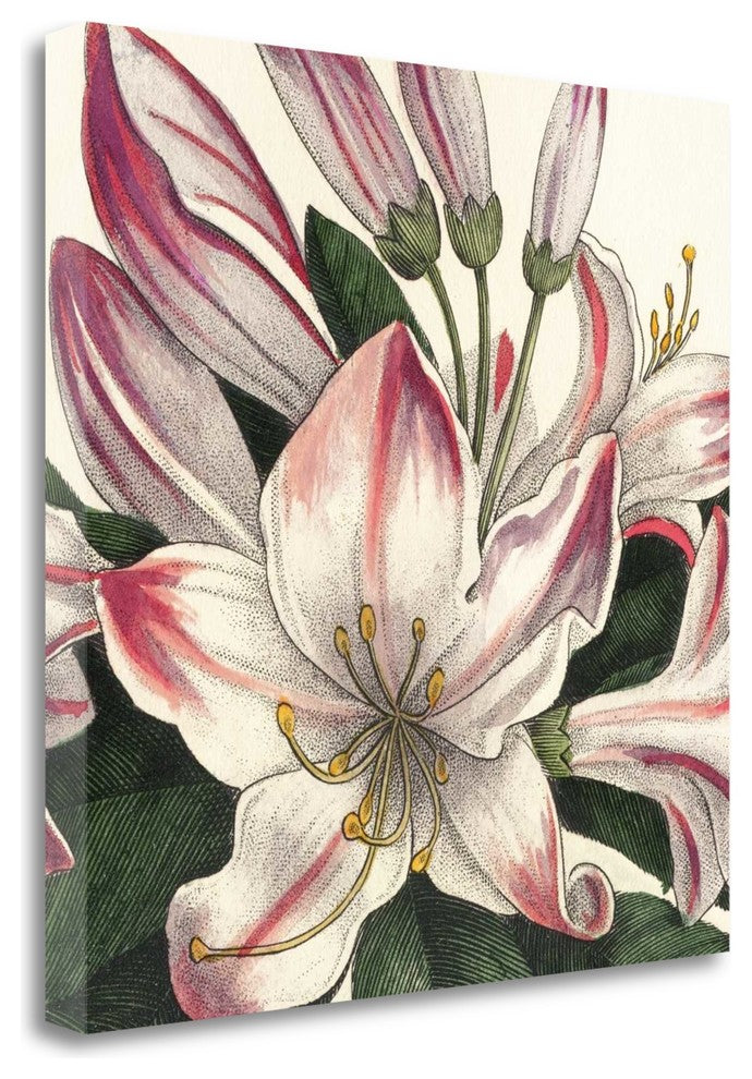 "Botanique Square II" By Wild Apple Portfolio, Giclee on Gallery Wrap Canvas
