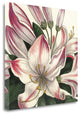 "Botanique Square II" By Wild Apple Portfolio, Giclee on Gallery Wrap Canvas