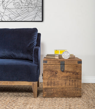 Livingston 18 inch Square Trunk by Kosas Home