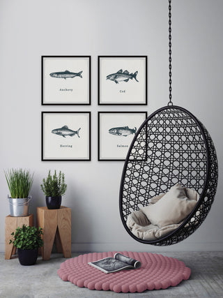 Anchovy and Salmon Quadriptych, 4-Piece Set, 18x18 Panels