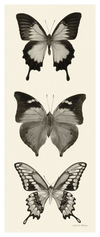 "Butterfly - BW Panel I" Digital Paper Print by Debra Van Swearingen, 32"x77"