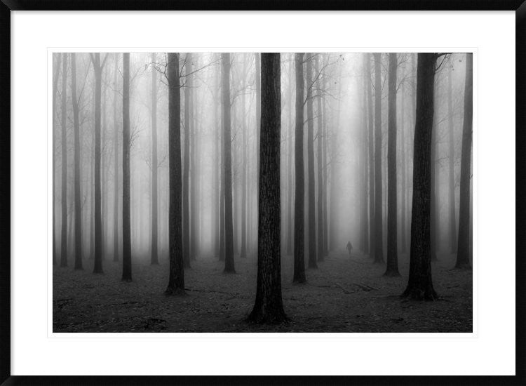 "In A Fog" Framed Digital Print by Jochen Bongaerts, 38"x28"