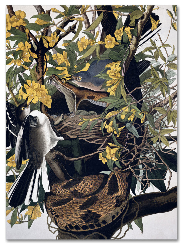 'Mocking Birds and Snake' Canvas Art by John James Audubon