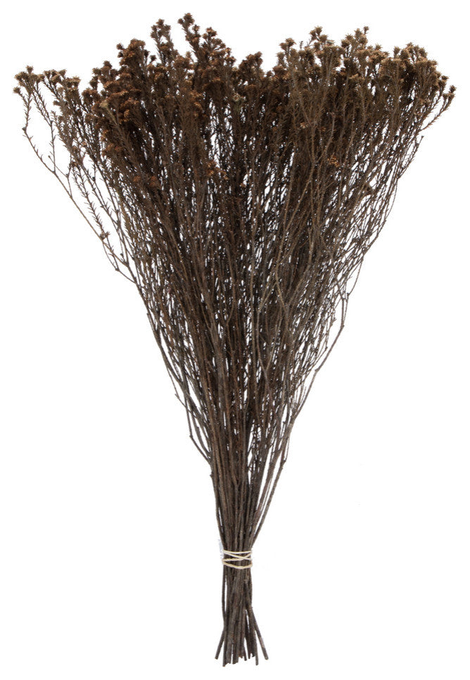 Natural Botanicals 19" x 4" Staavia, 100 grams per Unit , Natural, 19" x 4"