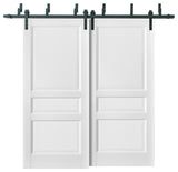 Barn Bypass Doors 72x80 & 6.6ft Hardware|Lucia 31 Matte White|Shaker Panel Door