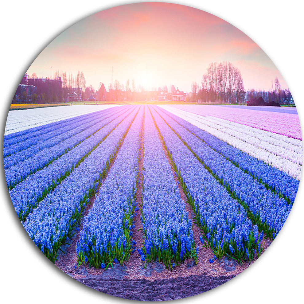 Field Of Blooming Hyacinth Flowers, Disc Metal Wall Art, 11"