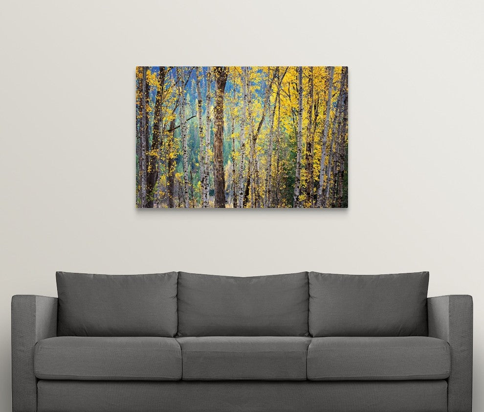 "Kootenay Fall 4" Wrapped Canvas Art Print, 48"x32"x1.5"
