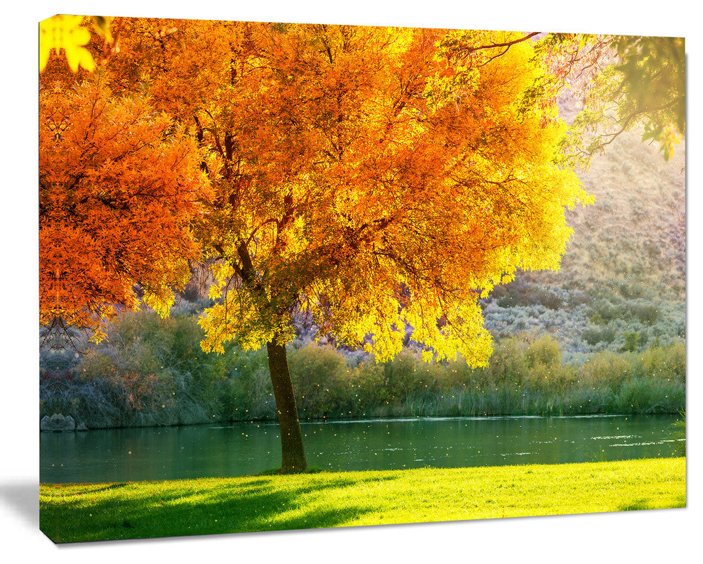 Beautiful Autumn Season in Forest, Extra Large Landscape Canvas Art, 40"x30"