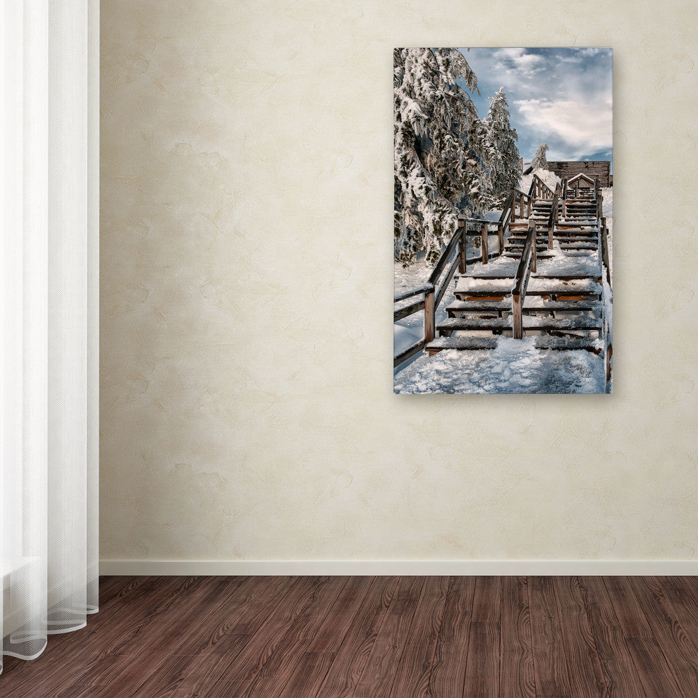 ''Watch Your Step'' Canvas Art by Lois Bryan