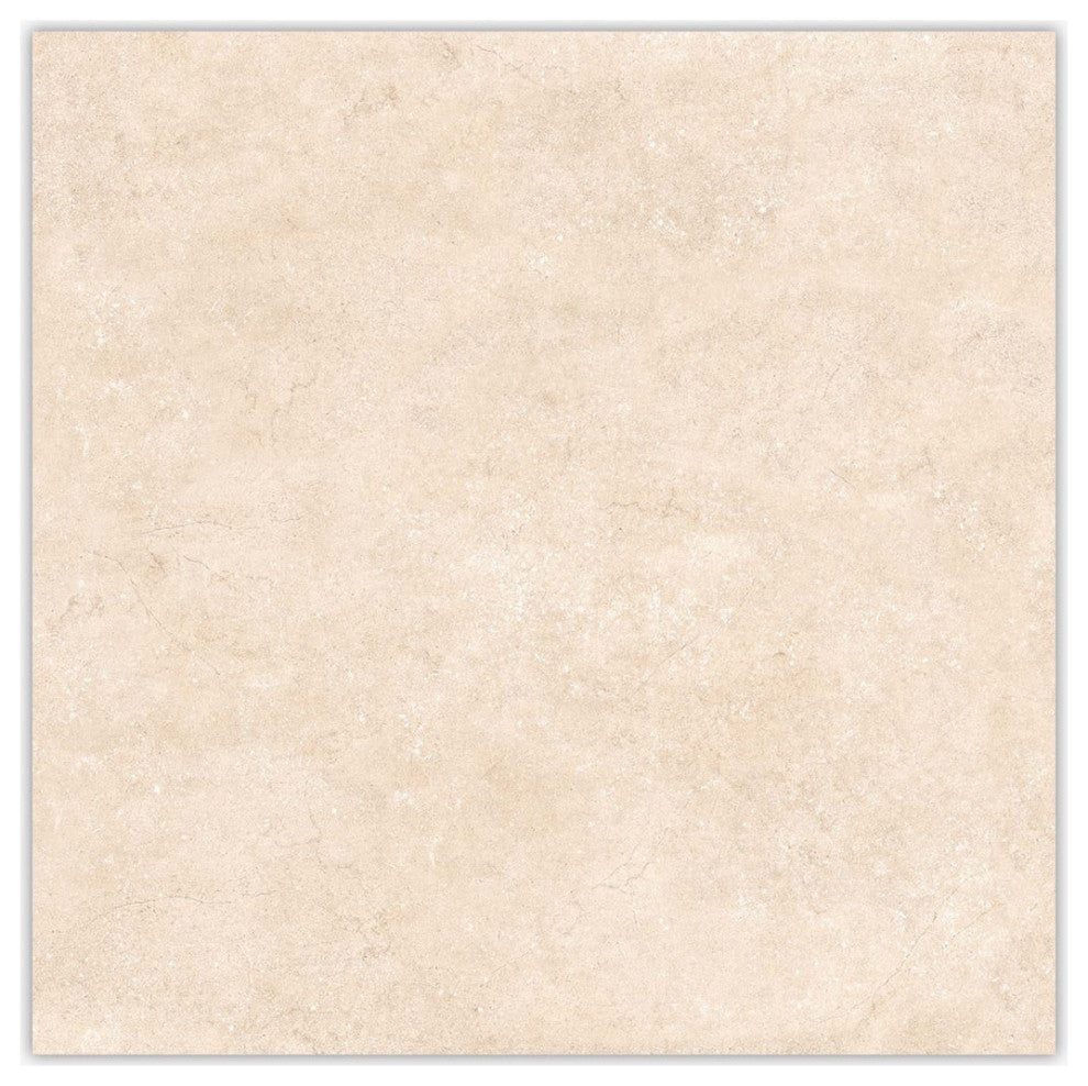 Ark Ivory Polished 24x24 Porcelain Tile
