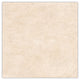 Ark Ivory Polished 24x24 Porcelain Tile