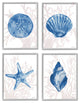 Blue Shells Starfish and Sand Dollar over Seaweed,4pc, each 16 x 20