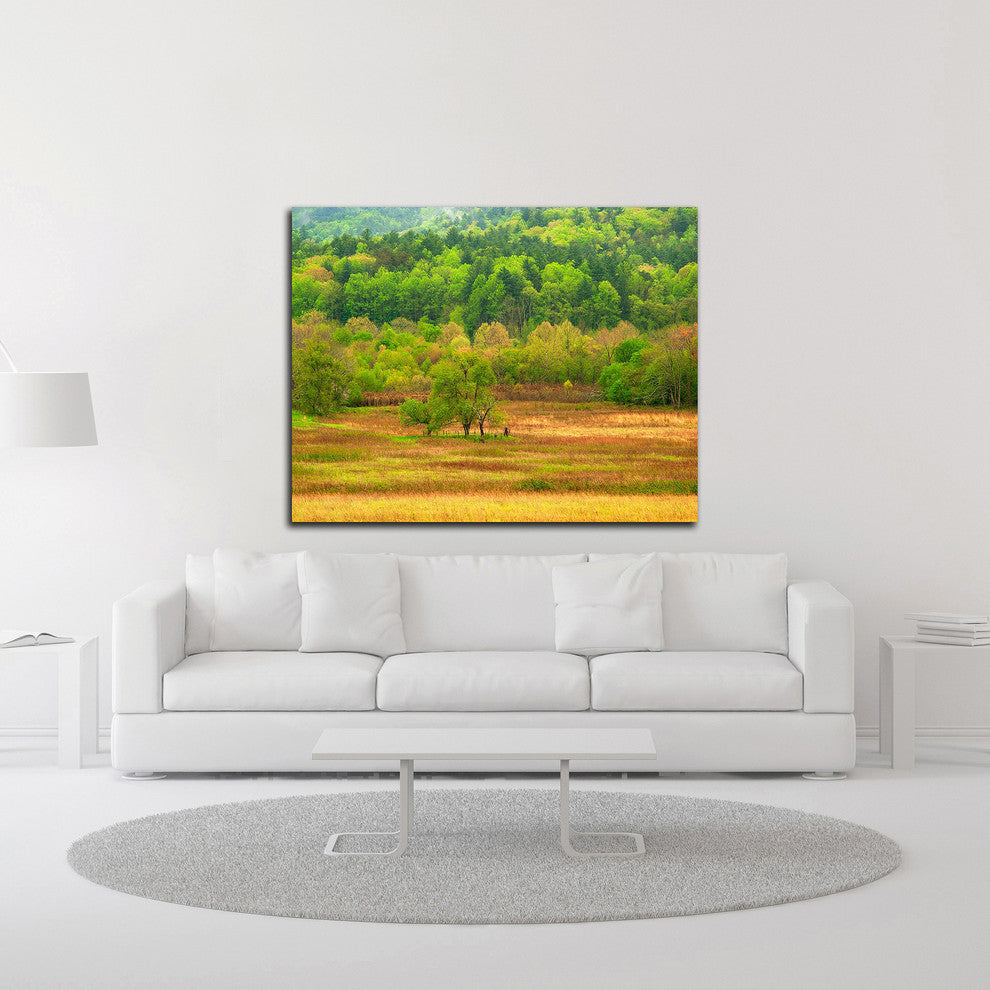 Spring Trees by David Hammond, Print on Canvas, 27"x21"