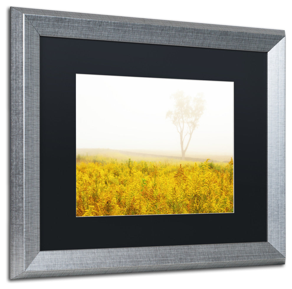 PIPA Fine Art 'Dreams of Goldenrod and Fog' Matted Framed Art, 20x16