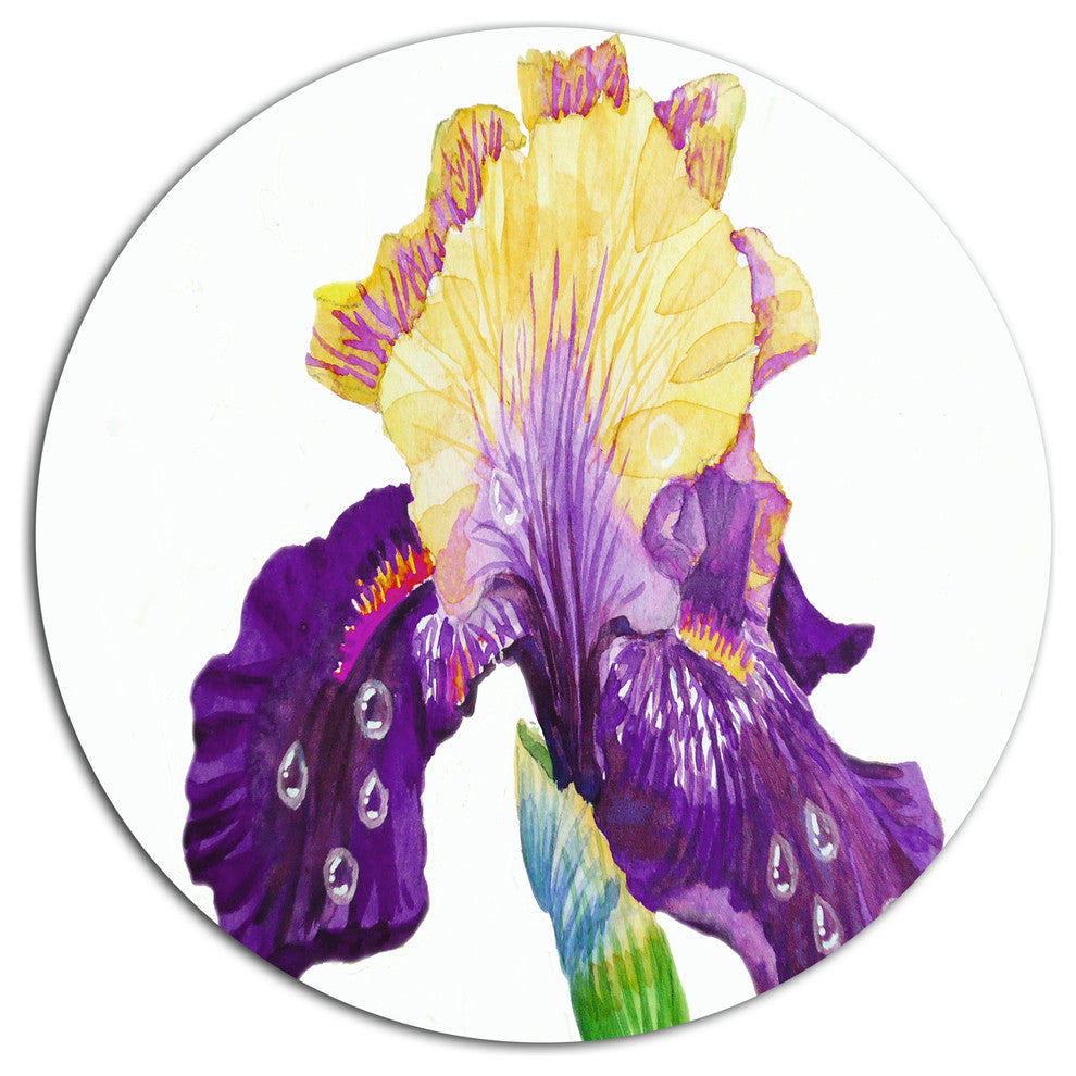 Blooming Blue Yellow Iris, Floral Wall Round Metal Wall Art, 23"
