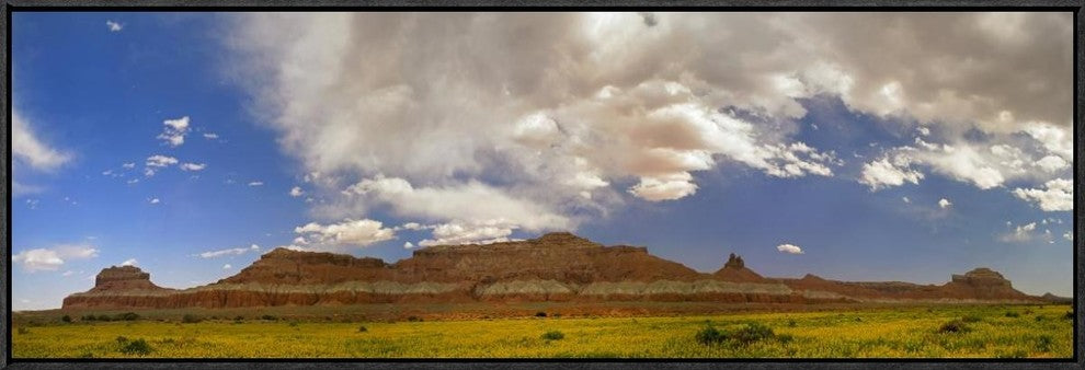 "Big Wild Horse Mesa near Goblin Valley, Utah"  by Tim Fitzharris, 37x13"