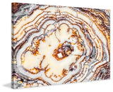 "Wild Rings" Painting Print on Canvas