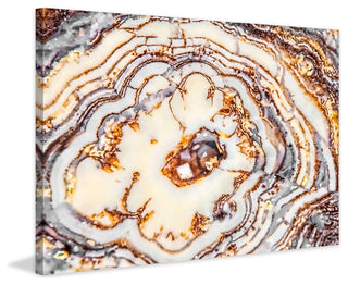 "Wild Rings" Painting Print on Canvas