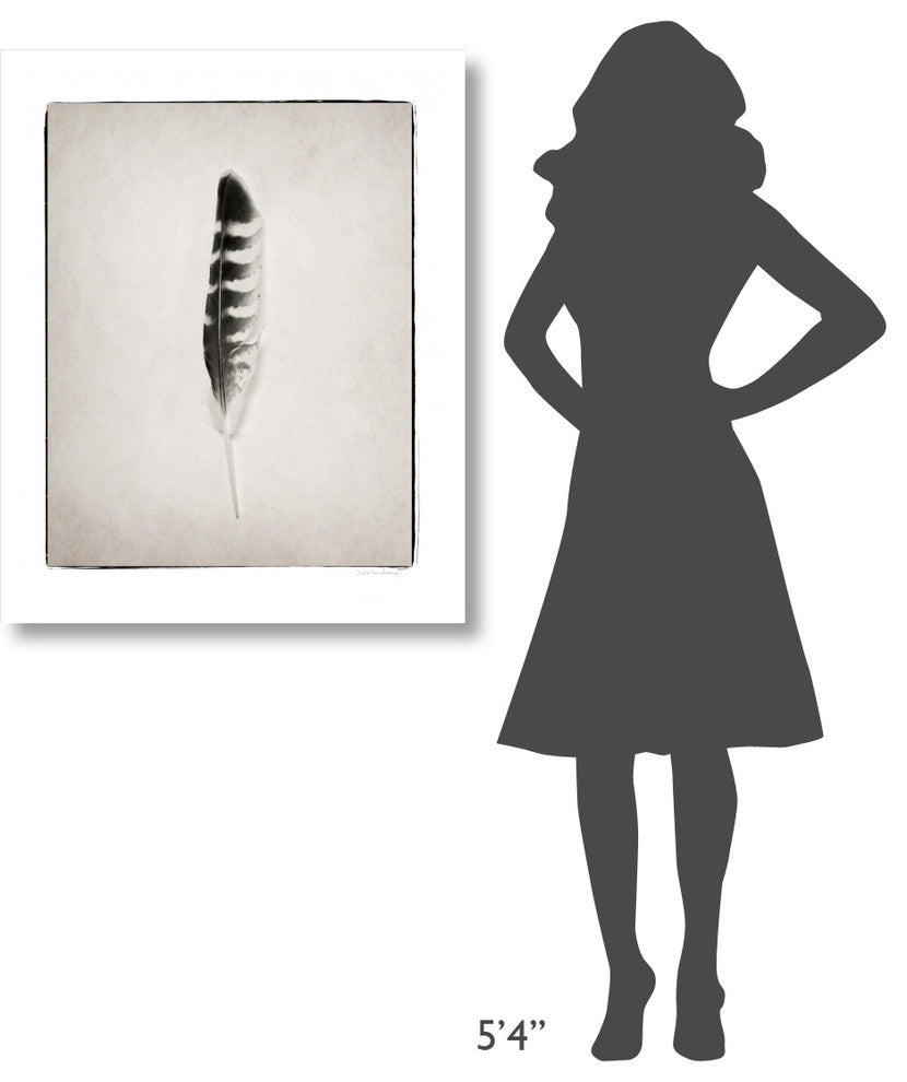 "Feather IV - BW" Digital Paper Print by Debra Van Swearingen, 30"x37"