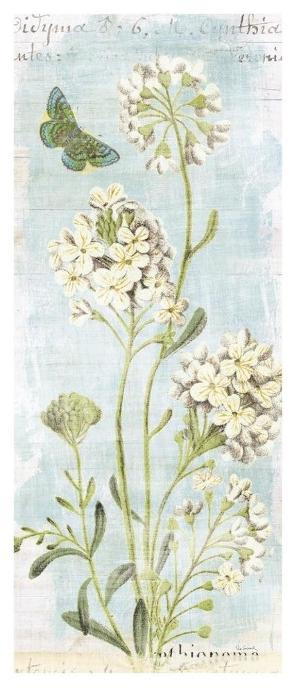 "Botany Blue II" Digital Paper Print by Sue Schlabach, 26"x62"