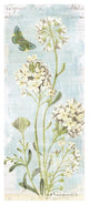 "Botany Blue II" Digital Paper Print by Sue Schlabach, 26"x62"