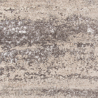 Cambridge Area Rug, Silver Sand, 2' x 3'3", Abstract