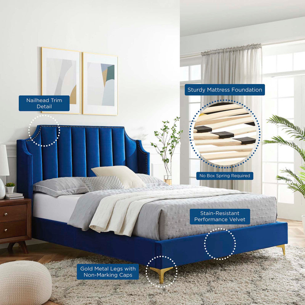 Platform Bed Frame, Queen Size, Velvet, Blue Navy, Modern Contemporary, Bedroom