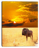 Huge Antelope in Field At Sunset, African Landscape Canvas Art Print, 12"x20"