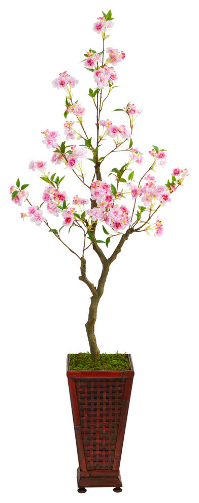 Product shown on white background: full, front-facing view of the Cherry Blossom Tree in planter (no text or diagrams).