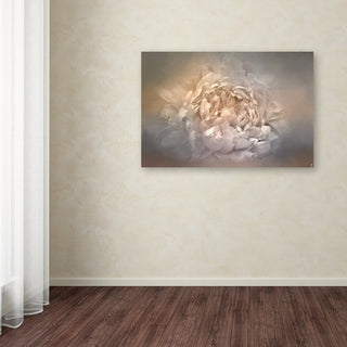 Jai Johnson 'Blushing Silver And Gold Peony' Canvas Art, 32 x 22